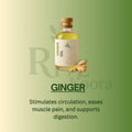 GINGER ESSENTIAL OIL